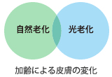 図　加齢による皮膚の変化