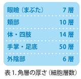 表1.角層の厚さ（細胞層数）